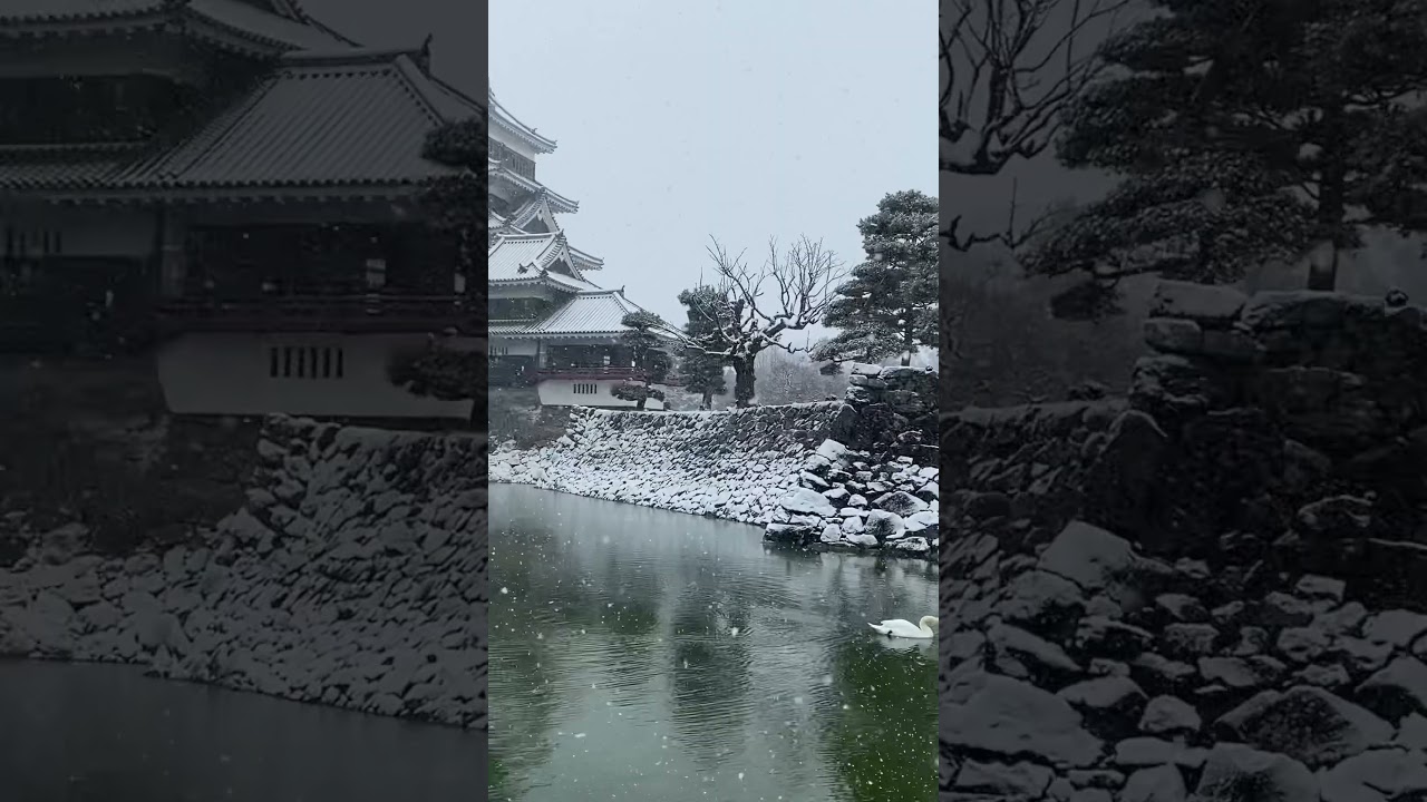 YouTube Short thumbnail