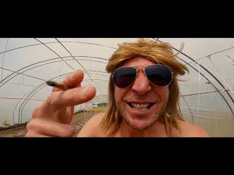 AJS NIGRUTIN - NIGRUTINSKI STAJLO