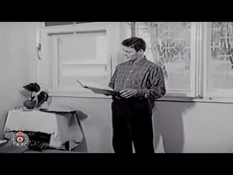 Zvezdan Čebinac: "Hoćete li na sledećoj utakmici, dati Crvenoj zvezdi koji gol"