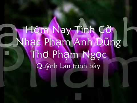 Hôm nay tình cờ Sheet - Quỳnh Lan
