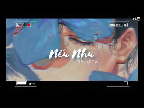 [Vietsub+Pinyin] Nếu như - Trịnh Nhuận Trạch 《如果呢》郑润泽