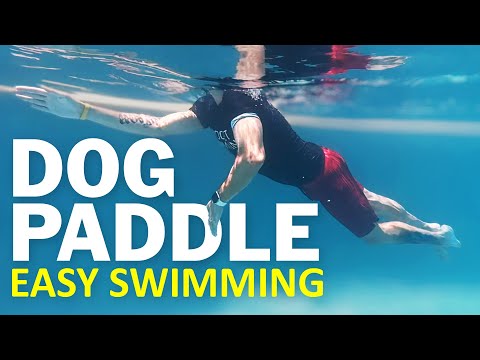 Doggy Paddle Swimming Technique For Beginners | Breathe Easily by Swimming Dog Paddle