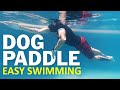 Doggy Paddle Swimming Technique For Beginners Breathe Easily By Swimming Dog Paddle