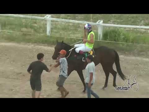 TODAS LAS CARRERAS DE ORO VERDE
