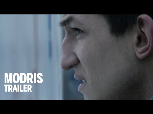 MODRIS Trailer | Festival 2014