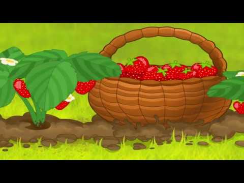 Cutscenki - Niecierpliwy smok - Pluszaki Rozrabiaki 2