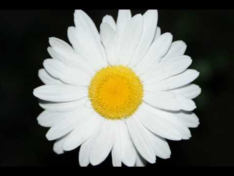 Jask feat. Jocie - Beautiful (Hard Attack Club)