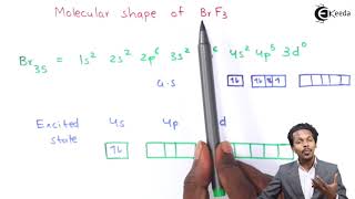 Molecular Shape of BrF3 - P-Block Elements - Chemistry Class 12