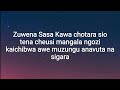 Diamond Platnumz Zuwena Lyrics Video