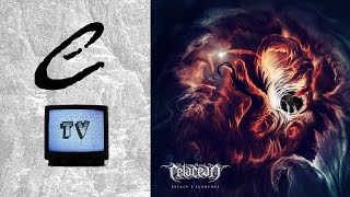 REVIEW - Cetacean – Breach | Submerge