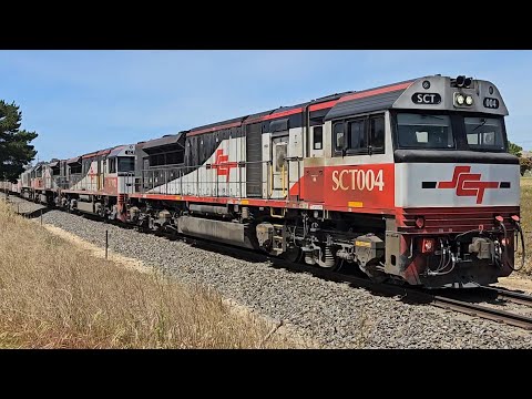 1MP9 SCT down "Grey Ghost" (4 locos), Laverton to Forrestfield, 1245, 28/10/24, Stawell VIC