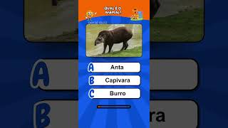 Qual é o nome desses animais? Quiz dos animais #quiz #animais