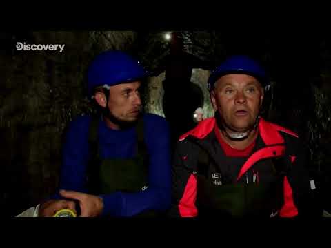 Discovery Channel - Zawieszenie emisji ''Media bez Wyboru'' (10.02.2021)