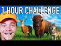 1 Hour Challenge Hunter Call of the Wild! 