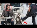 Ruthless Biker Kicked a Dog for Fun, Unaware Keanu Reeves Is the Owner!