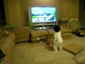 Zac Dancing To Sesame Street