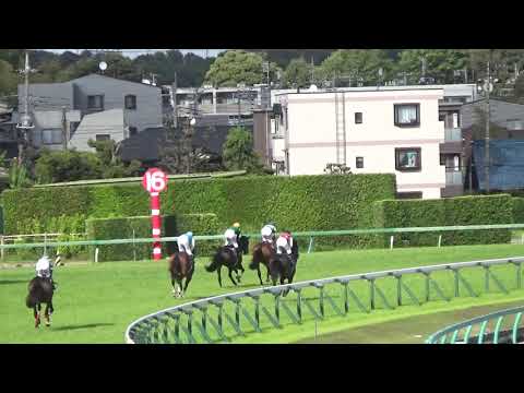 2021 皐月賞 エフフォーリア JAPANESE 2000 GUINEAS Efforia