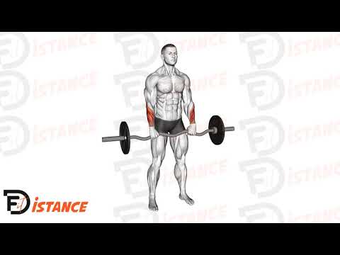 Exercice Flexion des poignets à la barre EZ