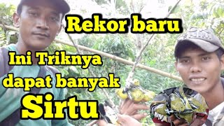 Download lagu Rekor baru pikat burung sirtu ||Cara terbaru pikat burung sirtu yang susah turun mp3