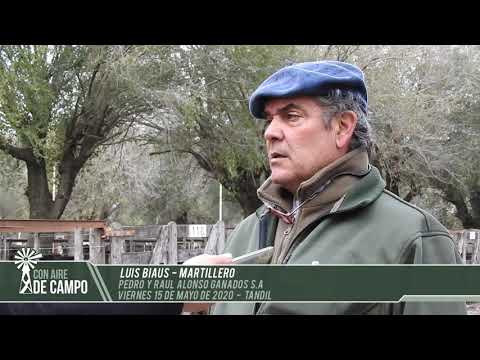 Luis Biaus - Pedro y Raúl Alonso Ganados - Vie. 15 de mayo 2020 -Tandil