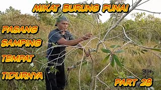 Download lagu keseruan pasang pulut di areal tempat burung punai tidur mp3 Download lagu keseruan pasang pulut di areal tempat burung punai tidur mp3