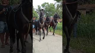 Download lagu kuda joget #shorts mp3