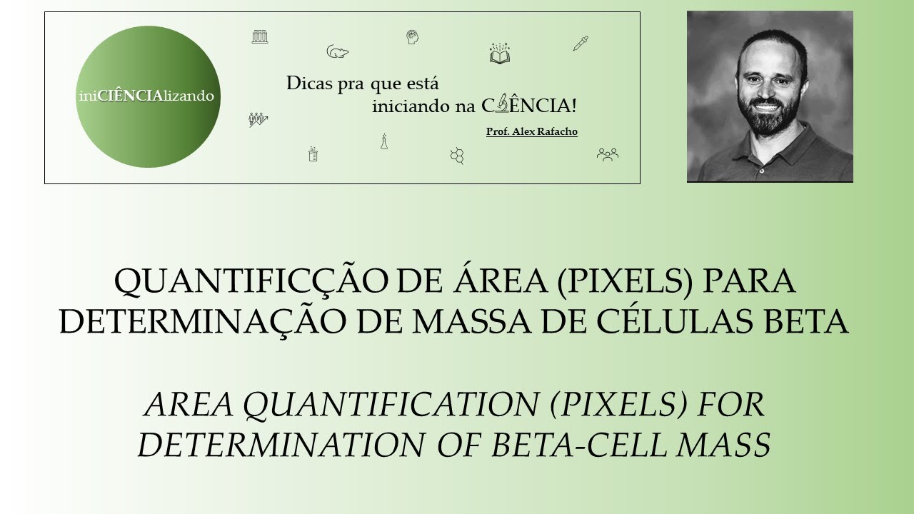 Quantificação de área (pixels) para determinação de massa de células beta