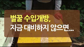 베트남 벌꿀 수입개방, 지금 대비하지 않으면....