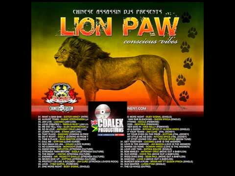 CHINESE ASSASSIN DJ'S - LION PAW 2012