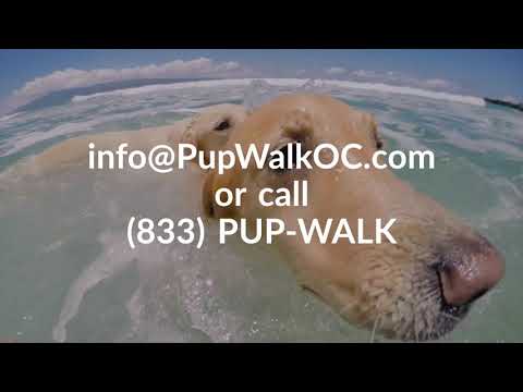 Golden Days Pet Services video.