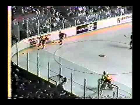 Detroit Redwings Hockey fights 1988 - 1989 season