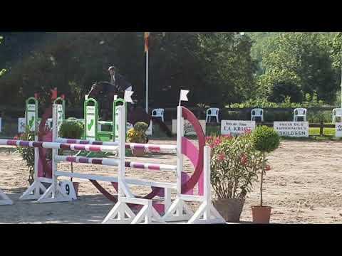 Turnierimpressionen - Chezarro in Breitenburg