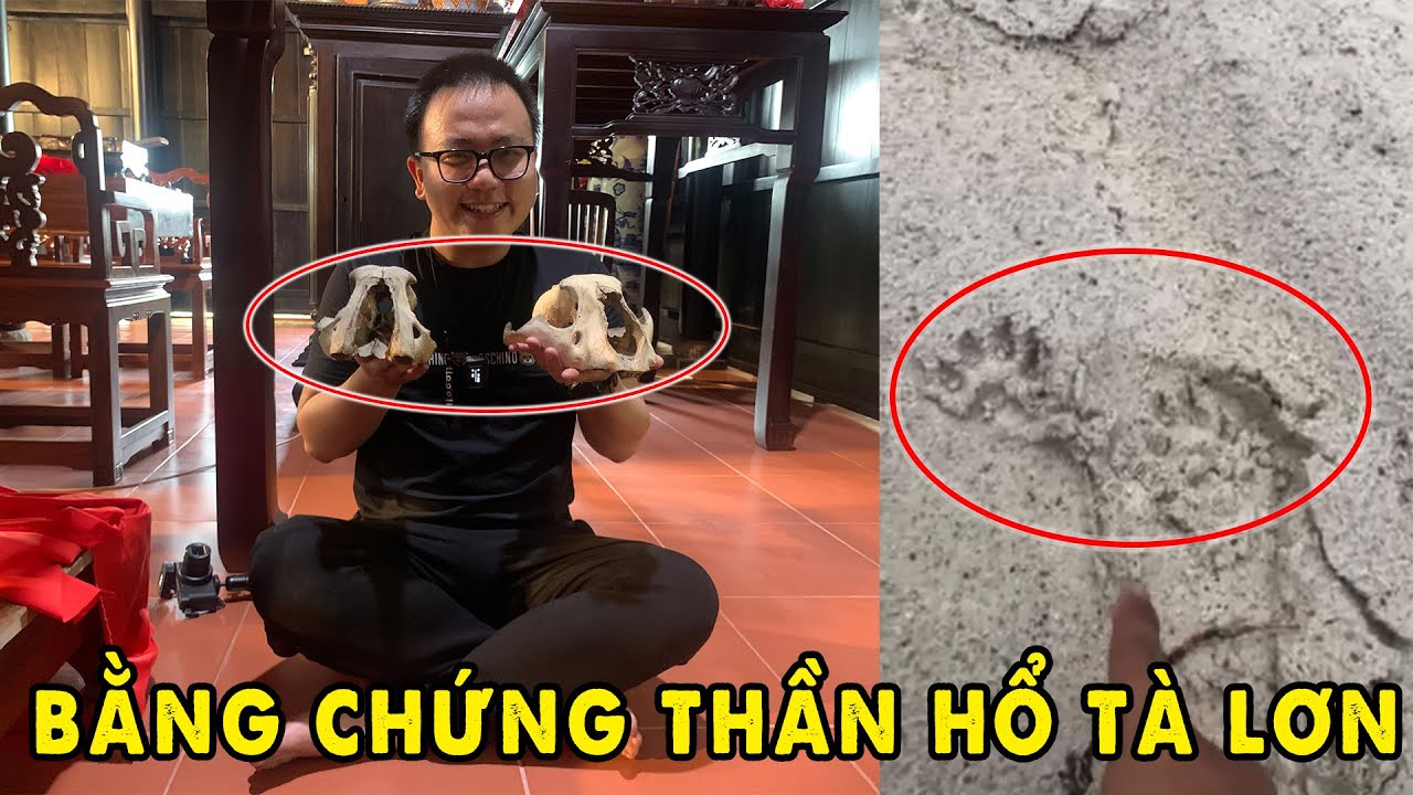 Ông Hổ còn Sống trên núi Tà Lơn và Bằng Chứng Rợn Người