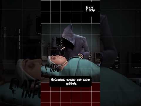 Scientific experiment done using a dog! #sinhala