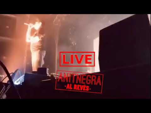 anitnegra live
