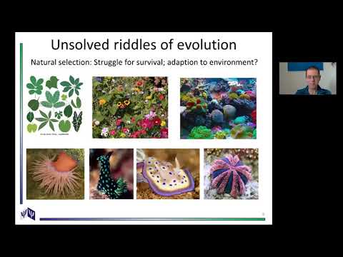 Das fehlende Bindeglied. Was Psi uns über Biologie und Evolution lehrt