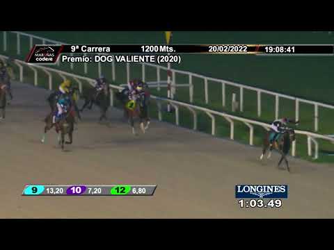 220220 c09 CATCH VERSAL (ARG)