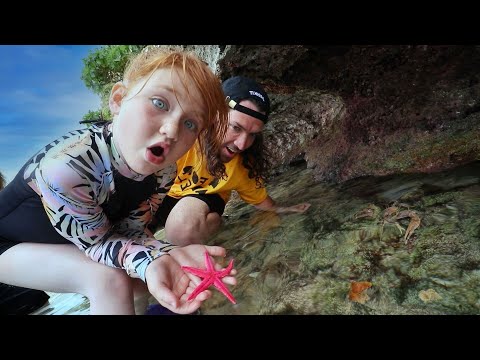 ADLEY Found a STAR FiSH ???? Mom grabs a CRAB!!  Exploring Tide Pools for Sea Creatures and Shells!