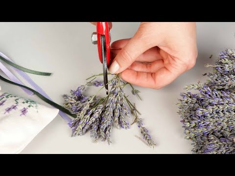 Für den Körper und Geist 5 heilende Eigenschaften von Lavendel