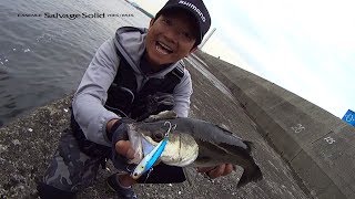 Shimano exsence salvage 85es xv-385m