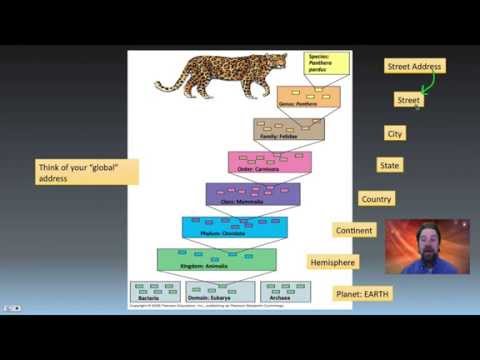 Taxonomy, Phylogeny and Systematics