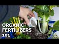 14 Organic Fertilizers And How To Use Them
