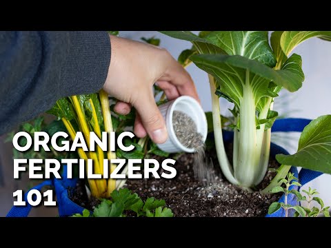 Biofertilizers Experiment Testing Earth Alive Soil Activator Part 1
