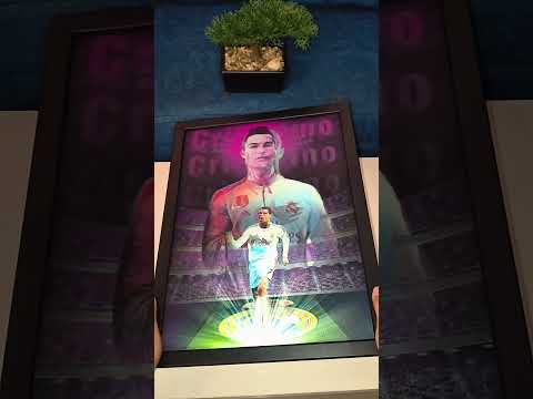 Vista 2