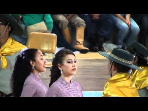 CTG CHALEIRA PRETA 2011 JUVENIL FEPART CANA VERDE