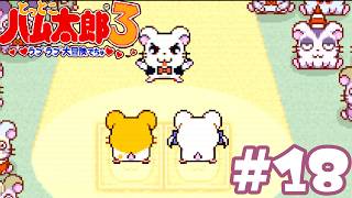 #18 初老男性、クイズに挑戦する『とっとこハム太郎３ ラブラブ大冒険でちゅ』攻略実況プレイ