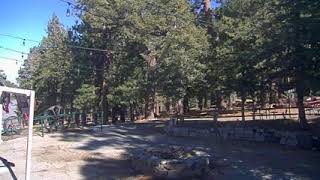 North Lodge Live Webcam live webcam