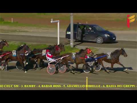 IV Corsa del 8 Febbraio 2022 - 5 e 6 Anni - Metri 1600