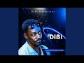 DIBi
