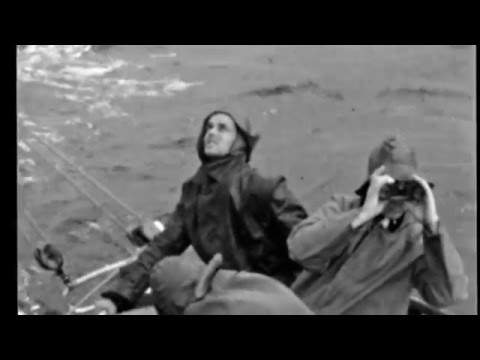 Seereise mit "Walross I" August 1954